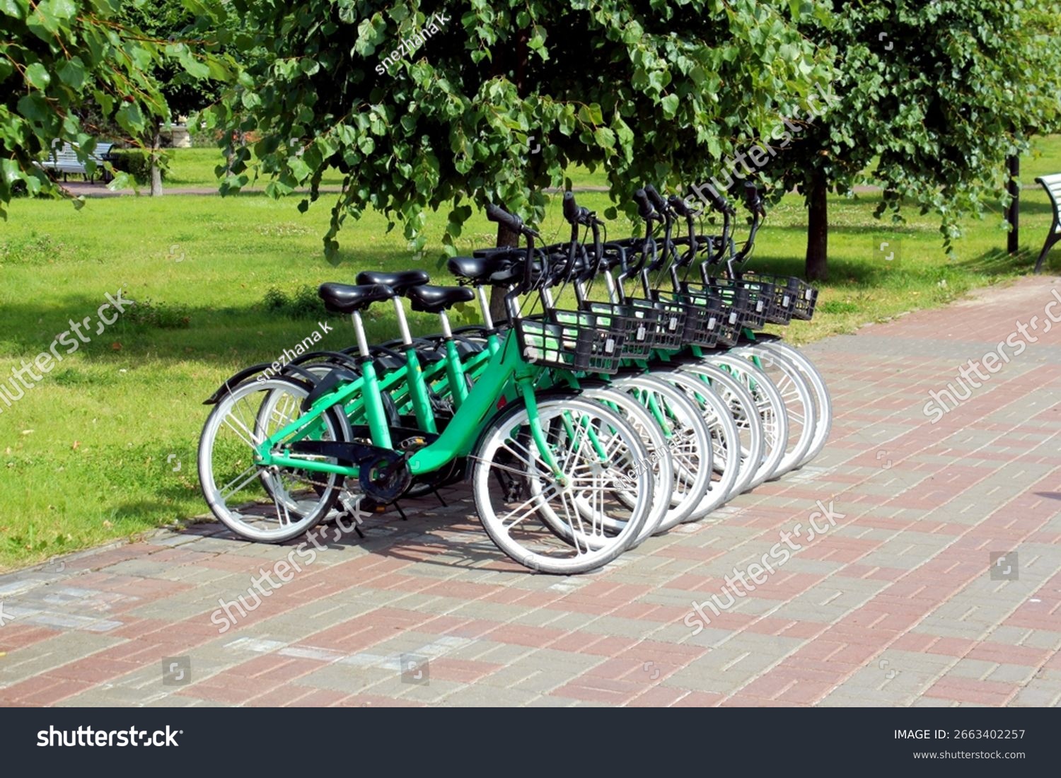 People using public transport and bicycles
